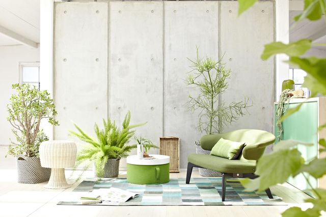 Green, Interior design, Room, Interior design, Pillow, Coffee table, Design, Houseplant, Living room, Throw pillow, 