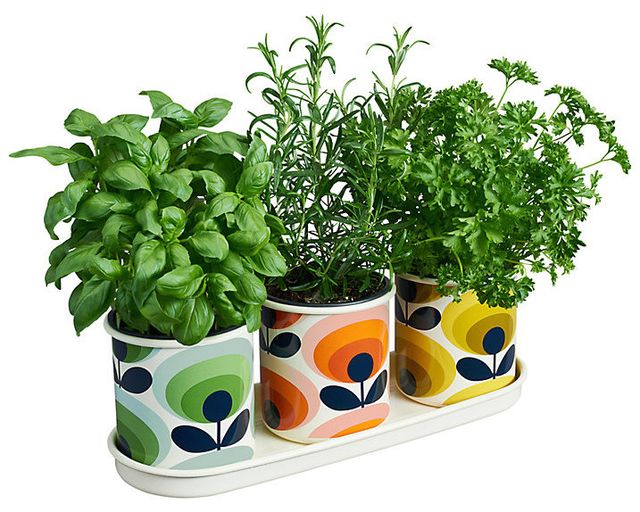 Orla Kiely 70's Flower Herb Pots, Set of 3