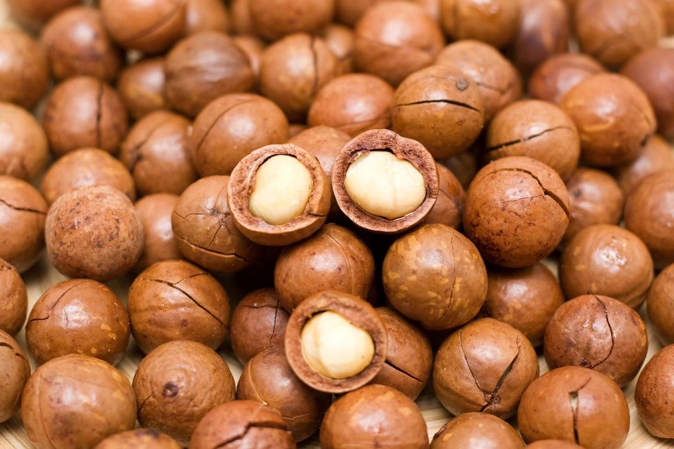 <p>Macadamia nuts –<span class="redactor-invisible-space">&nbsp;</span>and most nuts and seeds for that matter –<span class="redactor-invisible-space">&nbsp;</span>are some of the best snacks to beat fatigue and fight hunger. At 160 to 200 calories per small handful, macadamia nuts are a concentrated source of energy, containing all major macronutrients such as protein, carbohydrates, good fats etc. Just remember: although nuts are good for you, they are also high in calories, so should be eaten in moderation.</p>