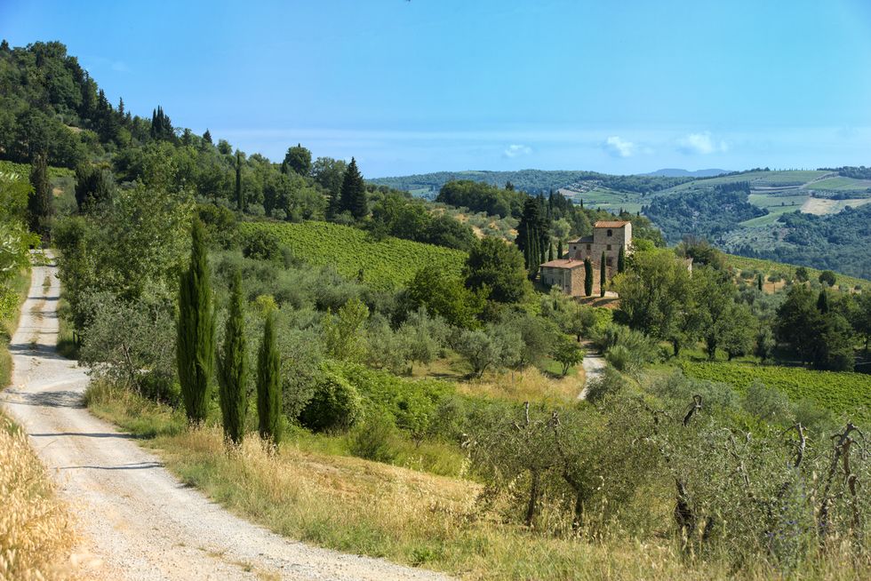 Michelangelo - Tuscany - villa - grounds - Handsome Properties International
