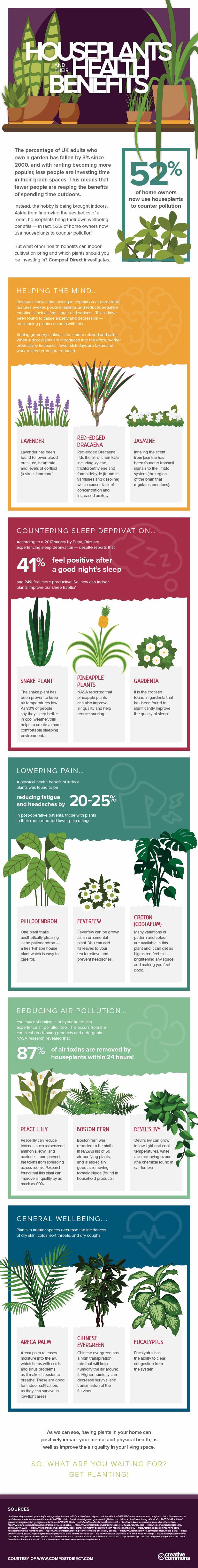 infographic - house plants and their health benefits - Compost Direct