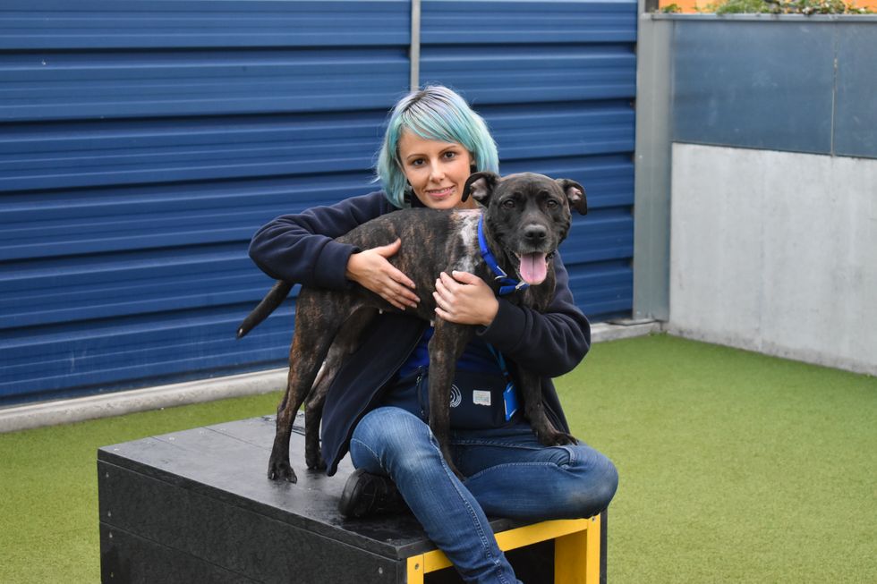 Justine - happy - Battersea Dogs and Cats Home