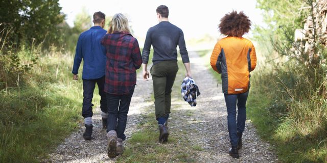 Four walkers in countryside