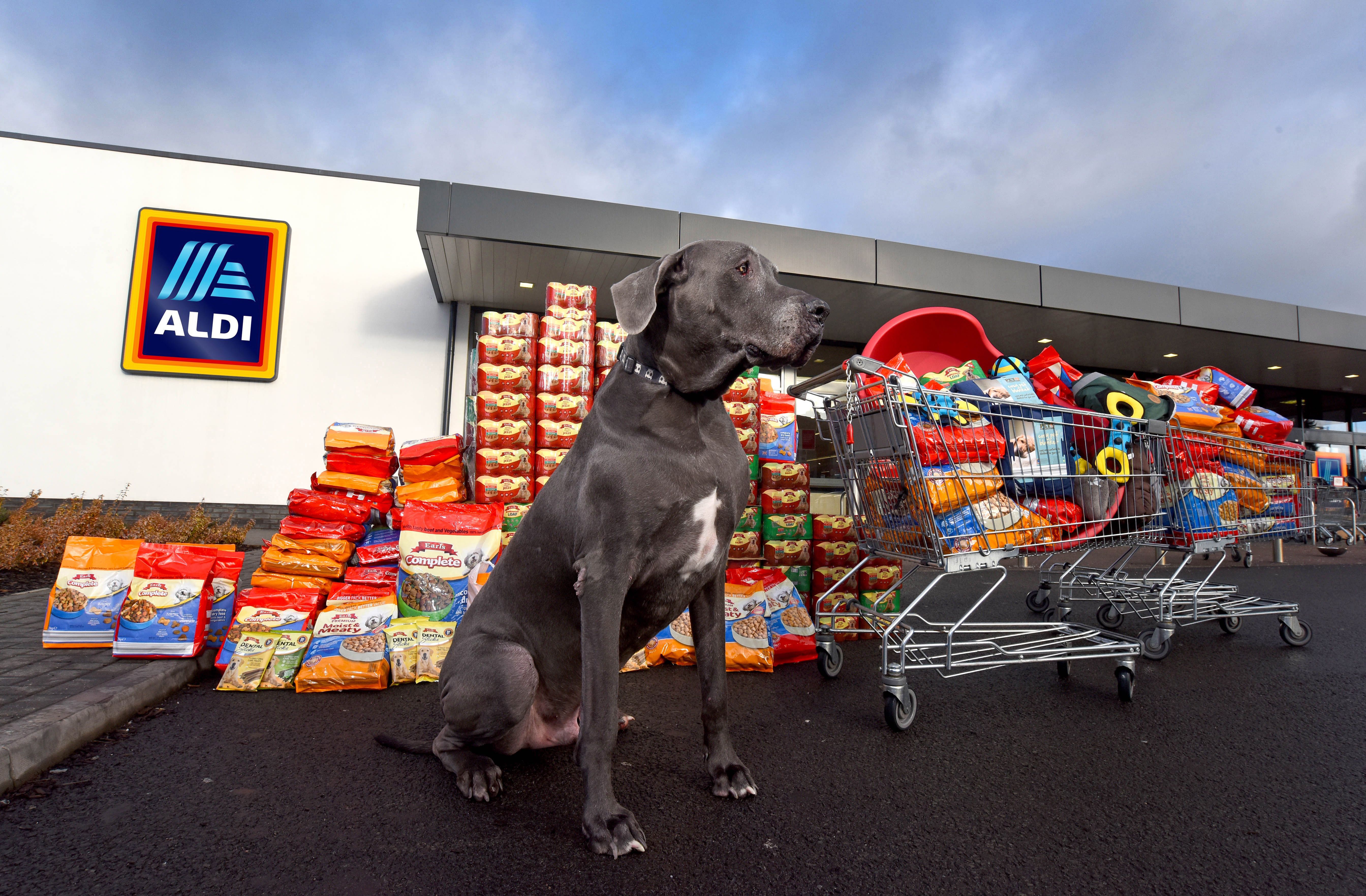 Aldi soft dog outlet crate