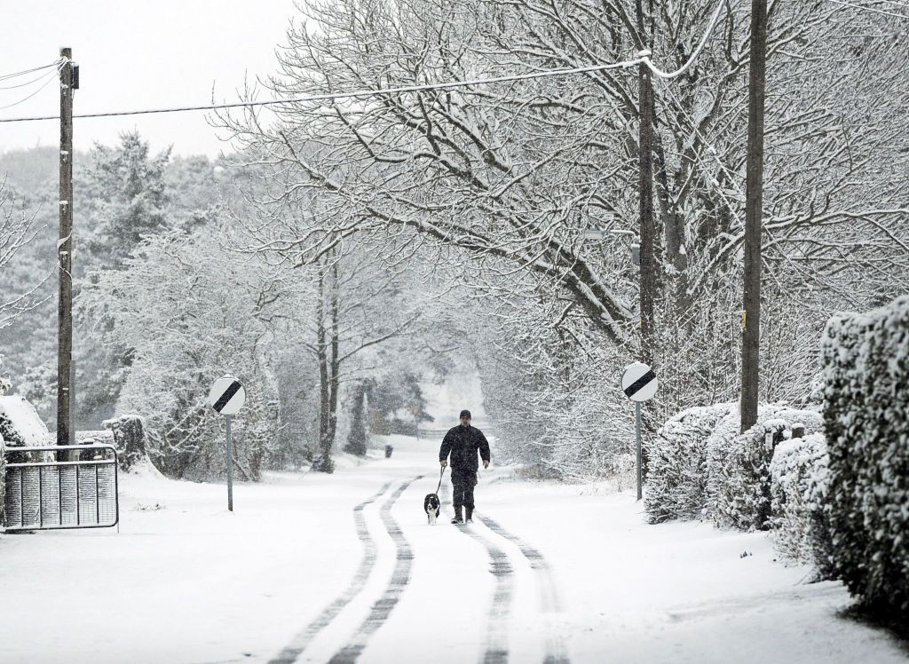 Uk Weather The Best Reactions To The Beast From The East