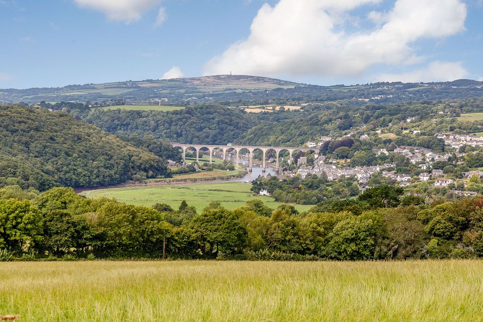 Rumleigh House - Yelverton - Devon - viaduct - Strutt and Parker