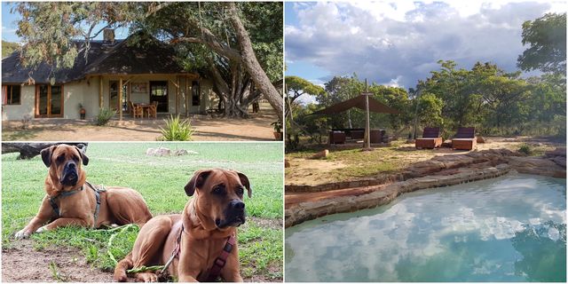 Ama Amanzi – South African Bush Lodge