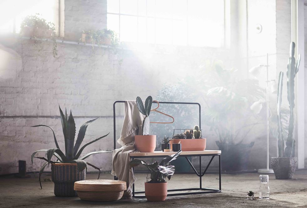 Ikea brings wellness into the home with limited edition HJÄRTELIG collection