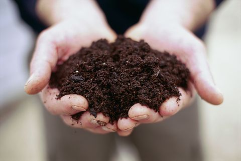 Human, Finger, Brown, Skin, Hand, Soil, Nail, Thumb, Flesh, 