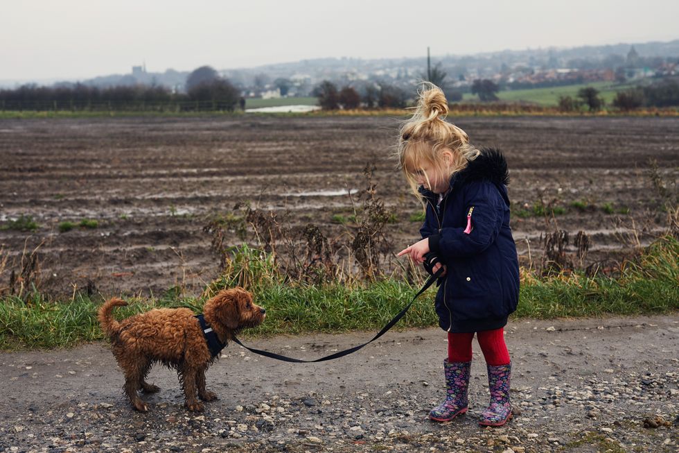 Little girl talking to dog