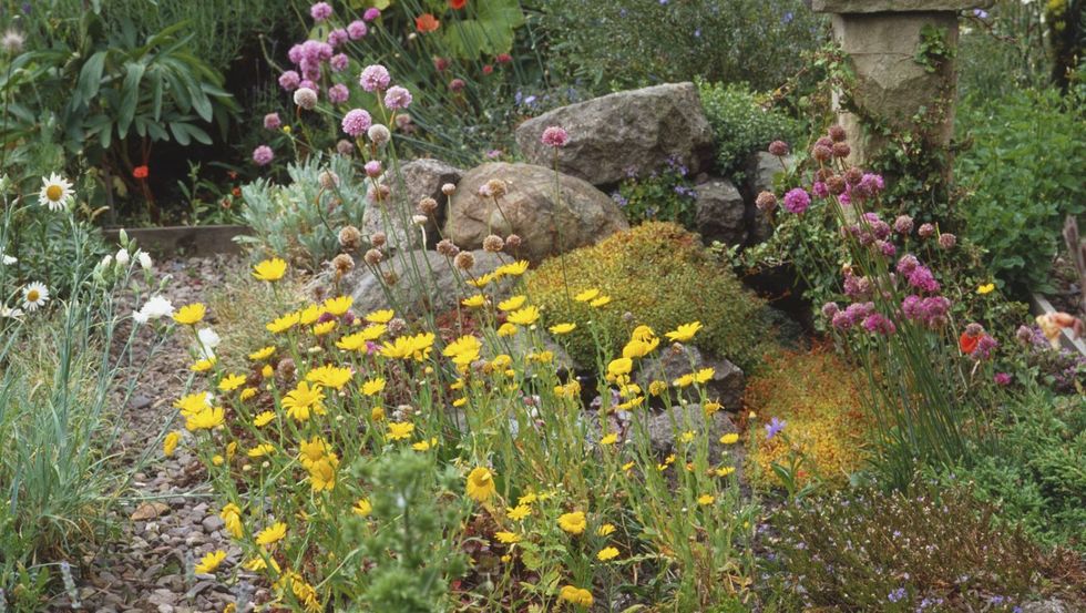 <p>The best plants for rock gardens tend to be on the small side, often alpine in origin and drought-tolerant.  They all need good drainage – especially if you live somewhere that gets a good amount of rainfall each year.  Think tiny when it comes to your rock garden plants.  Smaller bulbs are nice choice — especially small daffodils, wild tulip species, blue-eyed grass or brodiaea.</p><p>Creeping plants are fun to use, too, because they soften the hard edges of the rocks and help blend your plantings over time.  I like to use small mints, sedums, mosses, ice plants, and short grasses like blue fescue.  Succulents are also classic rock garden plants and are fun to tuck in here and there in the most unlikely spots — plus, they are hardy in most climates. </p>