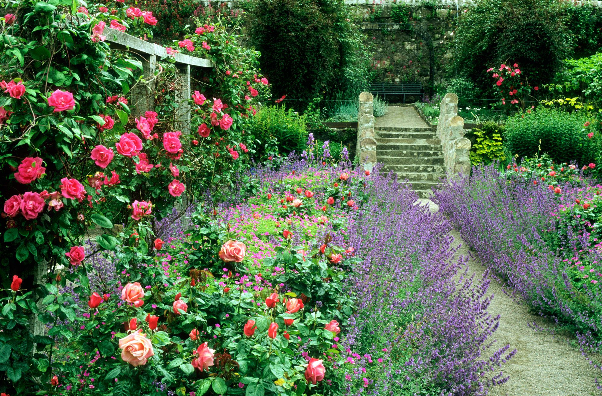 Briljant Corroderen fluweel 9 Cottage Style Garden Ideas - Gardening Ideas