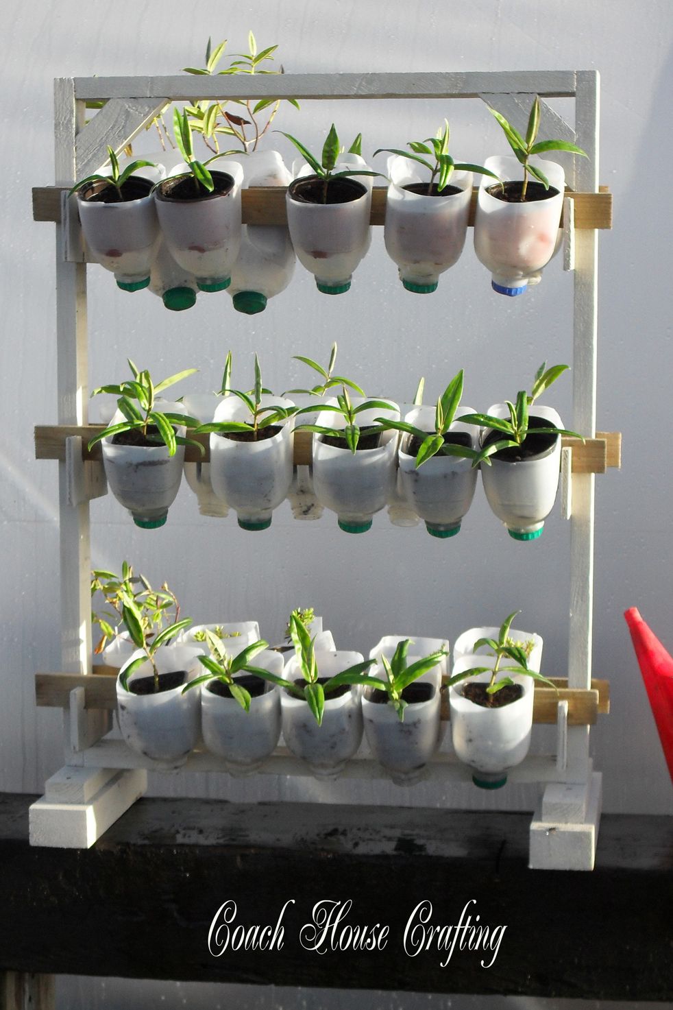 7 DIY Seed Pots From Common Household Items for Starting Seeds Indoors