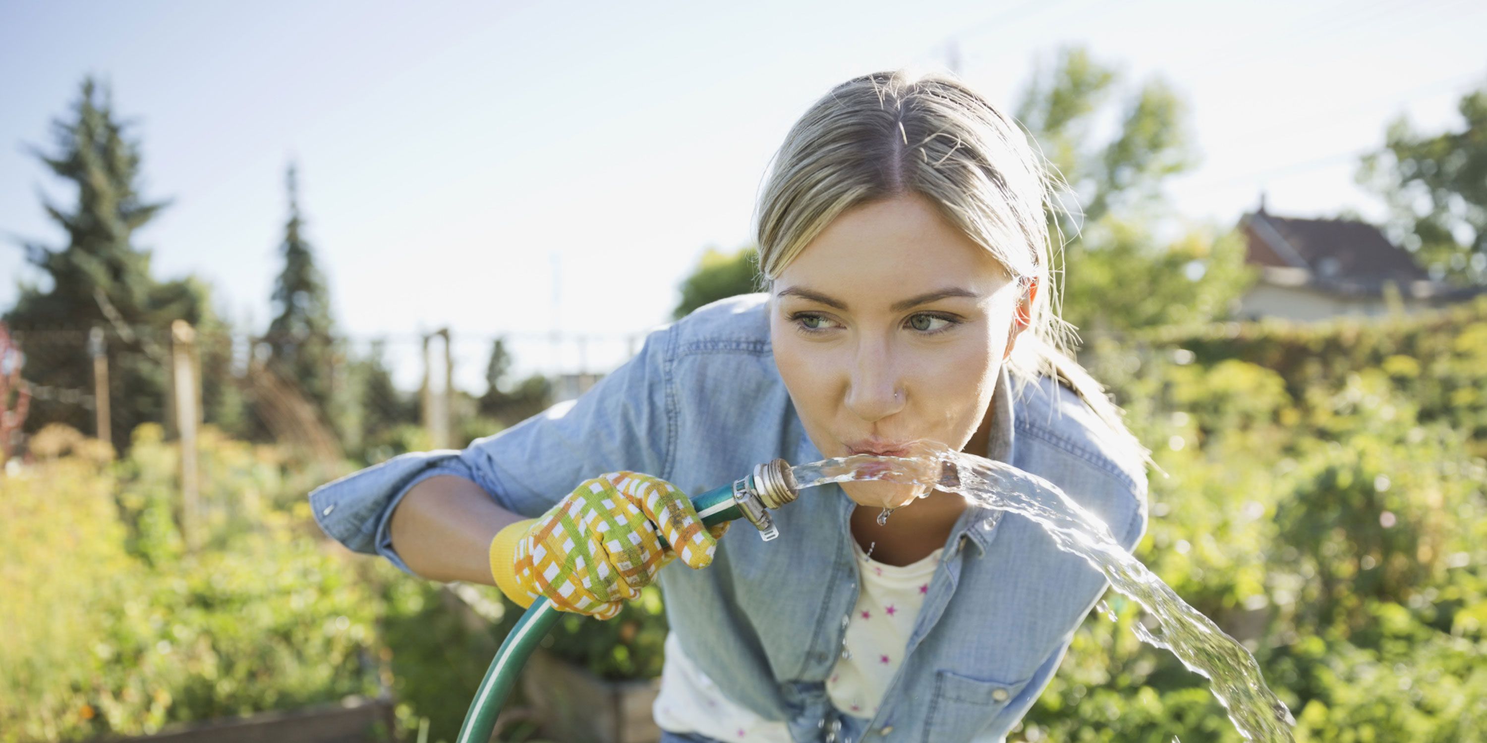 Harmful Chemicals: Is Your Garden Hose Toxic?