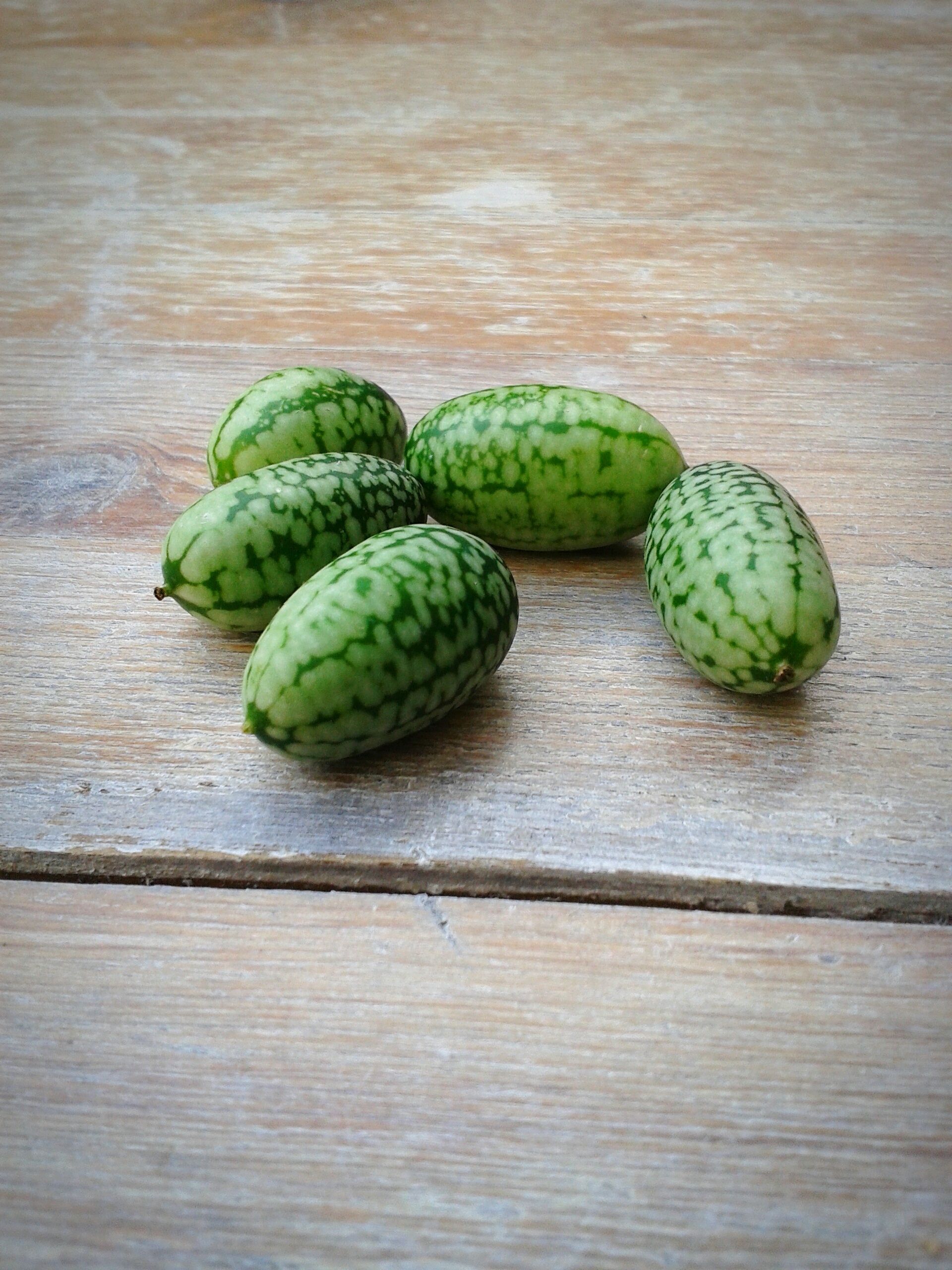 Cucamelon: Not the Love Child of a Cucumber and a Watermelon