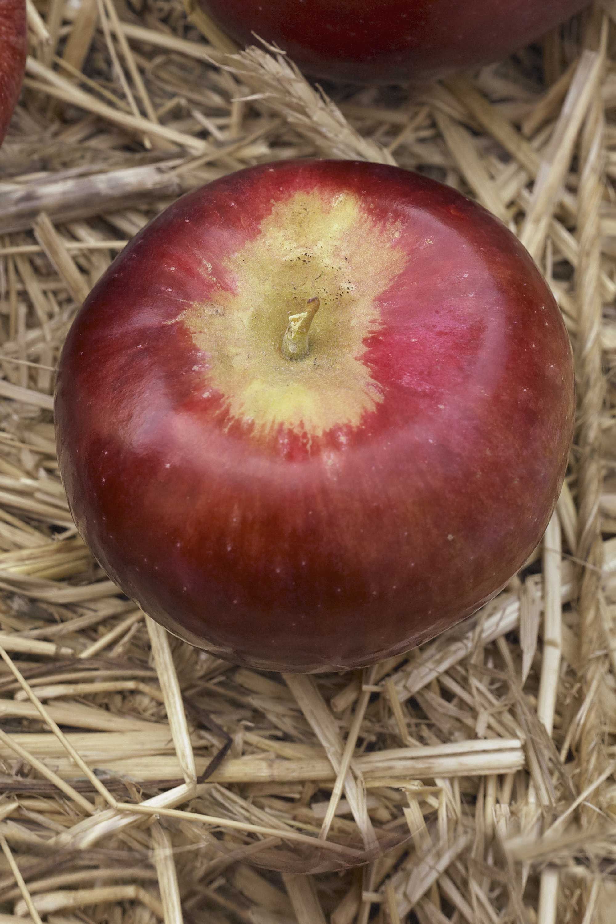 The #1 Worst Apple to Cook With, According to a Chef — Eat This Not That
