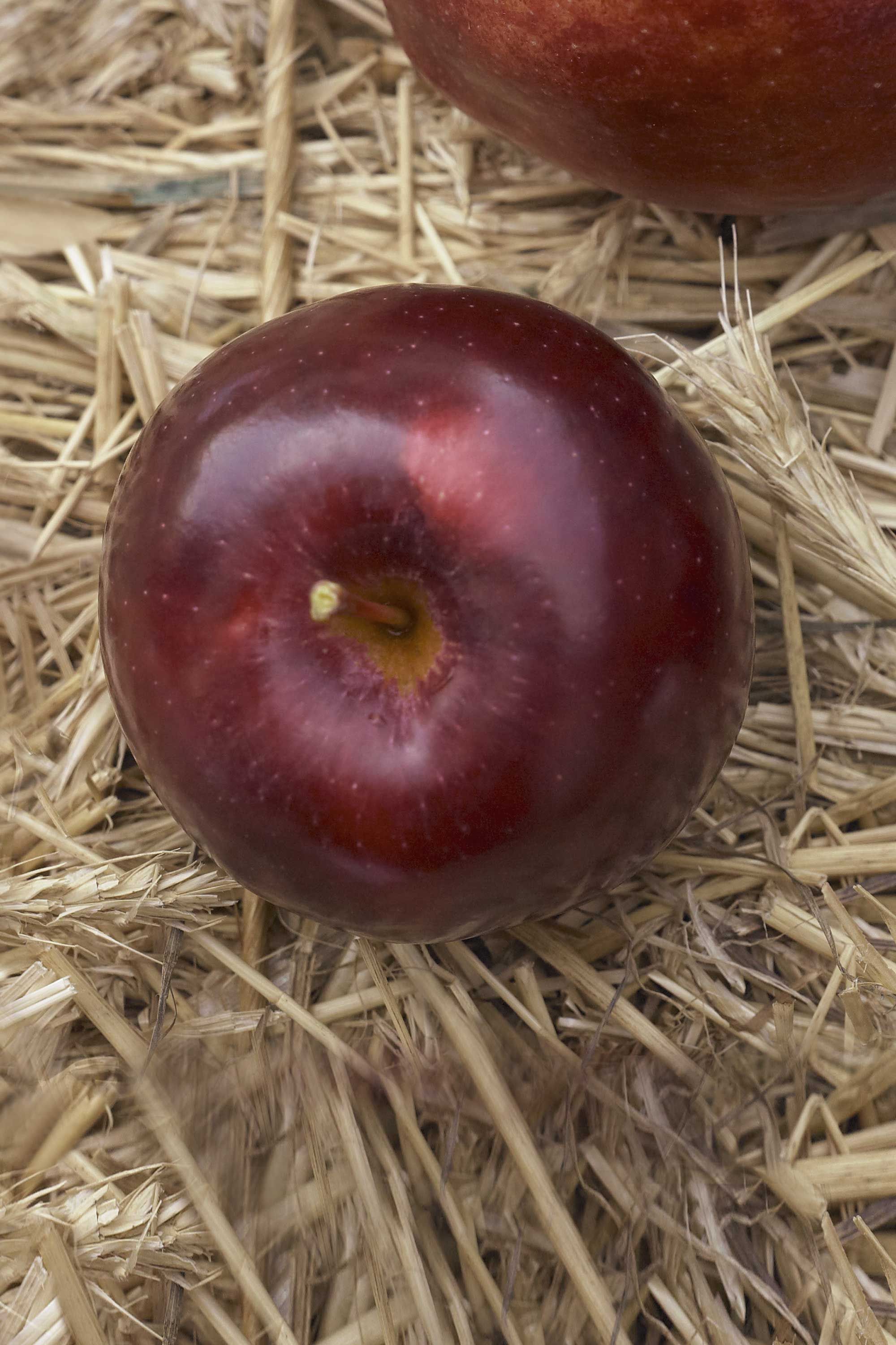 The #1 Worst Apple to Cook With, According to a Chef — Eat This Not That