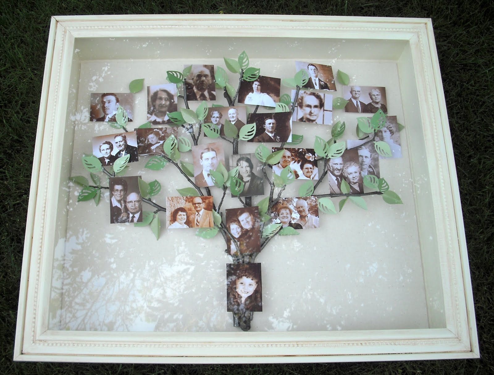 family tree poster board