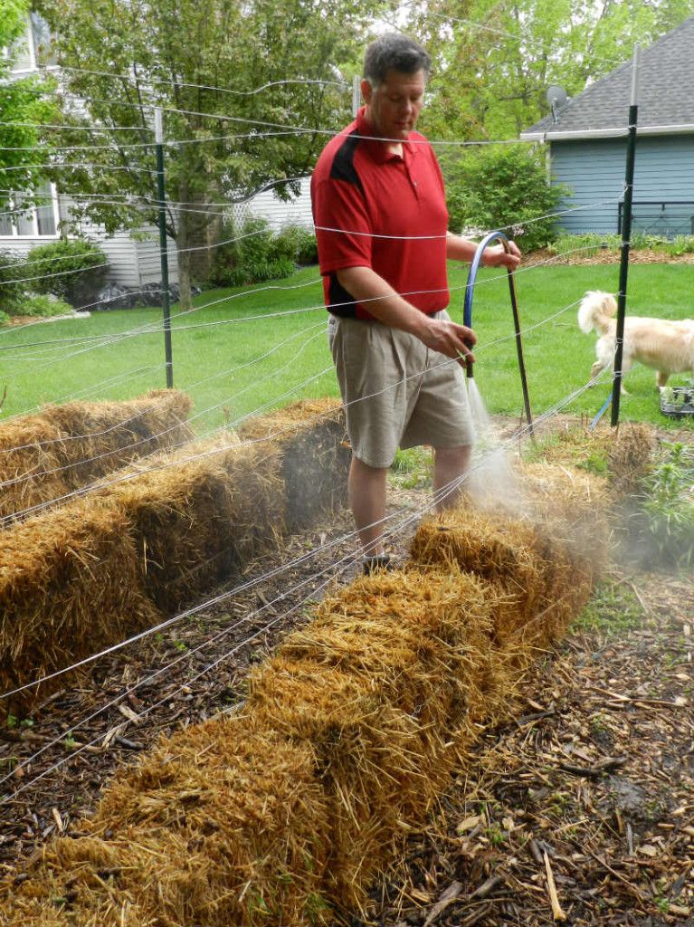 Here's Why You Should Really Be Adding Straw Bales to Your Garden