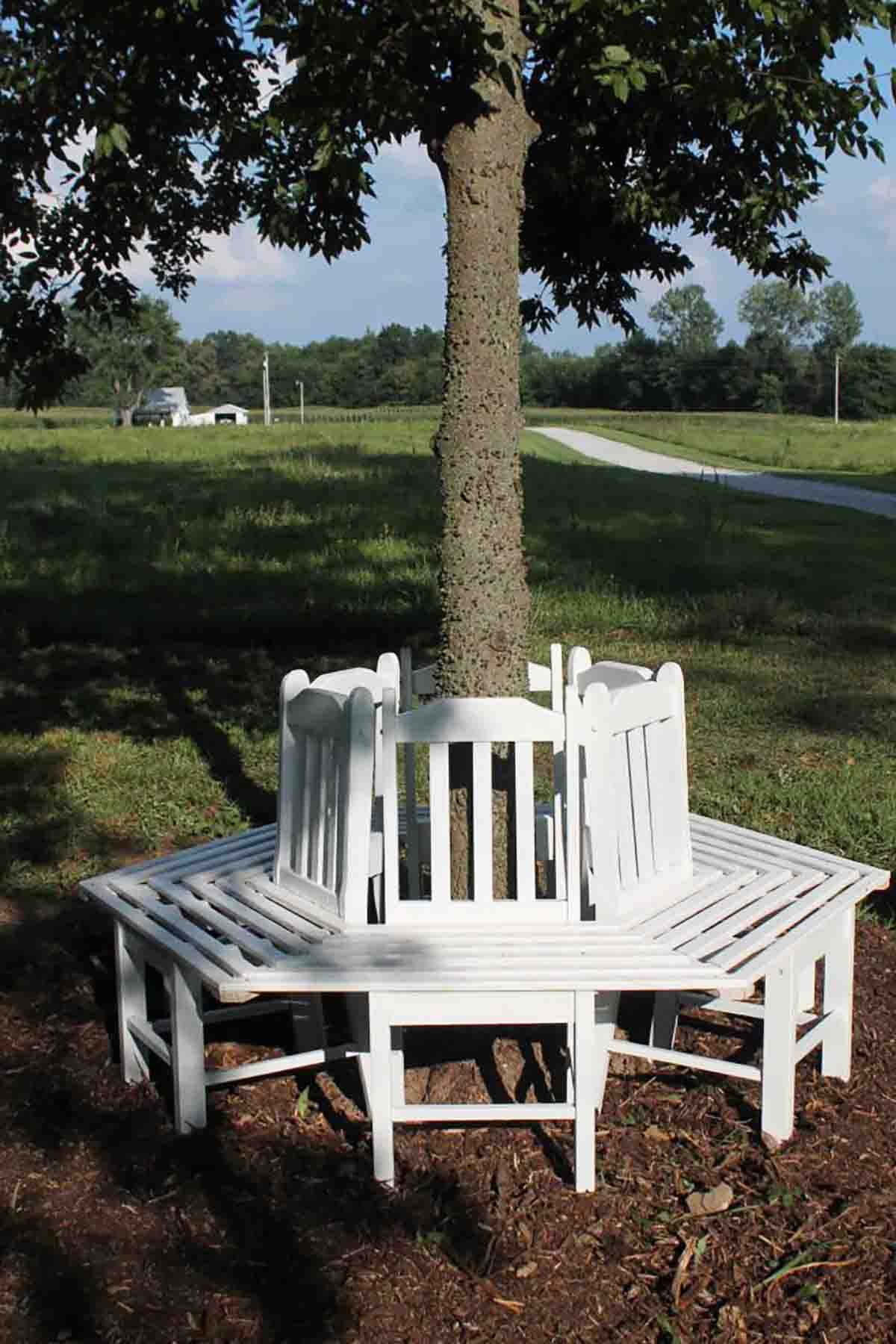 park bench tree