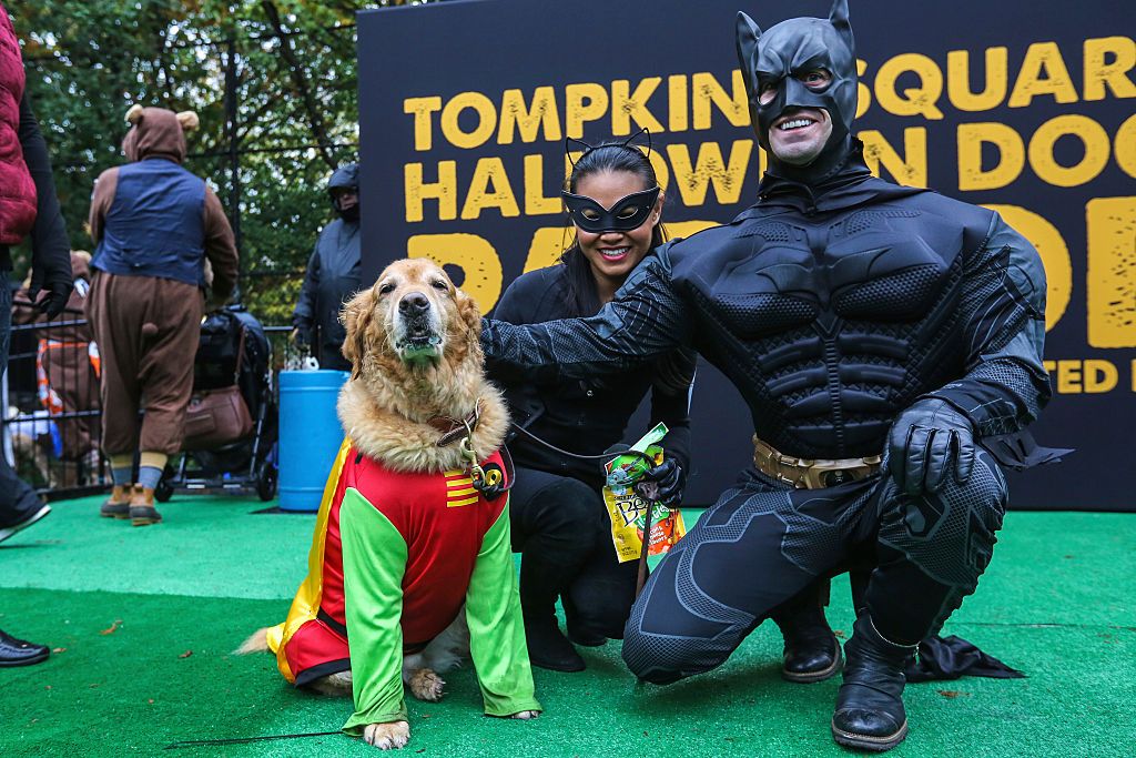 28 Best Matching Dog and Owner Halloween Costumes