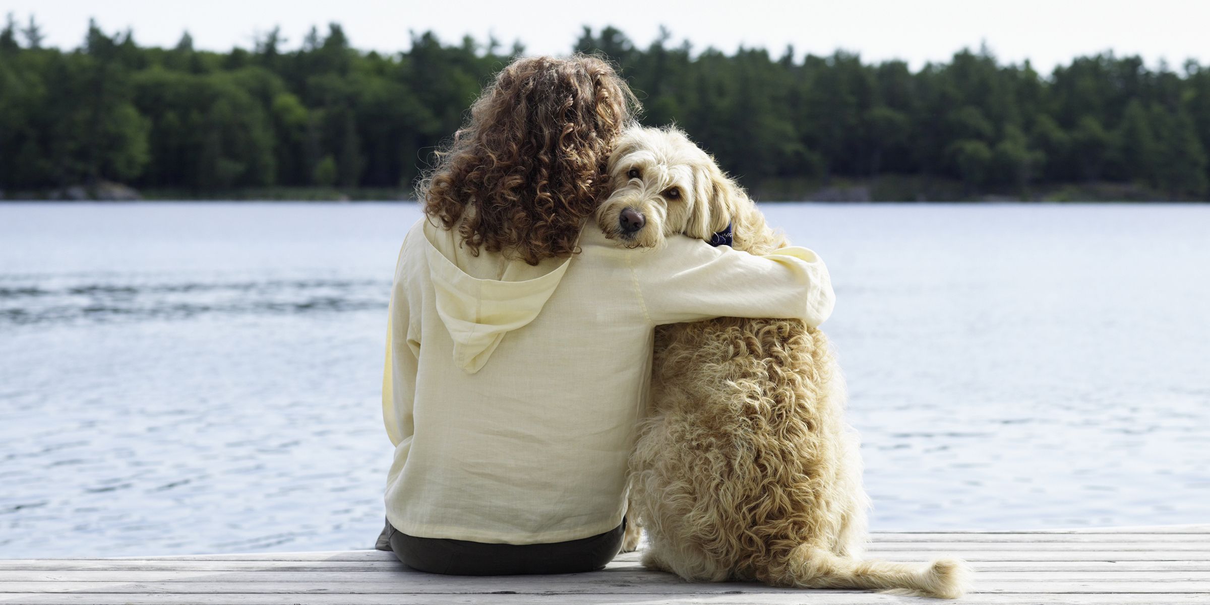 does owning a dog help you live longer