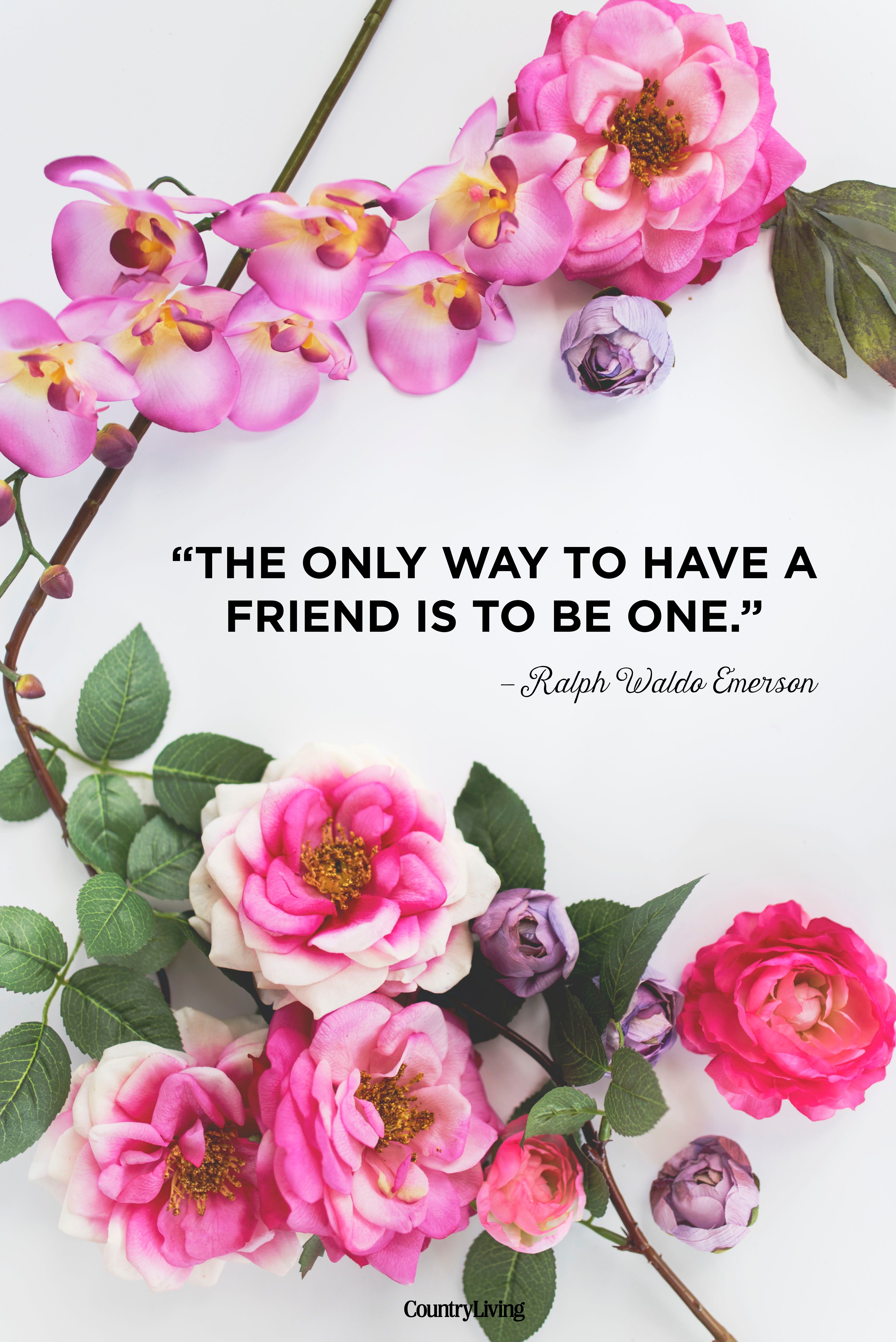 rose images with friendship quotes