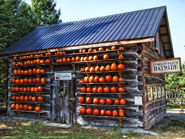 Decorated Christmas Hayride In Log Cabin Background, Pictures Of