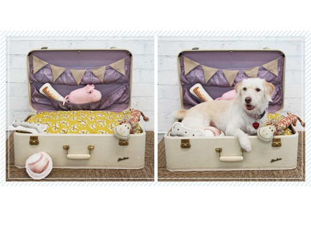 Vintage suitcase 2025 dog bed