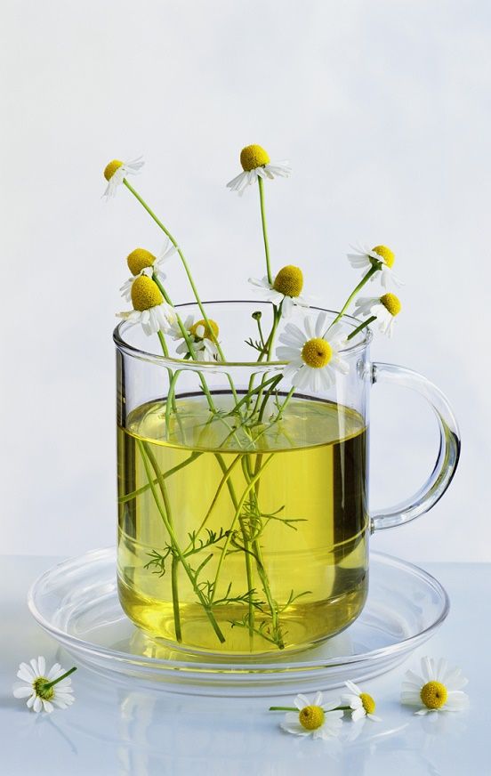 Yellow, Liquid, Serveware, Still life photography, Oil, Flowering plant, Annual plant, Plant stem, Vase, Herb, 
