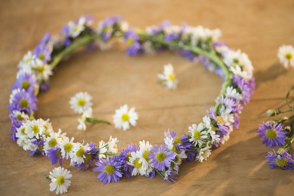 Petal, Flower, Purple, Lavender, Floral design, Floristry, Flower Arranging, Daisy family, Annual plant, Pollen, 