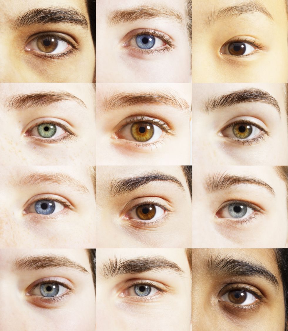 Brown, Skin, Eye, Eyelash, Forehead, Eyebrow, Colorfulness, Iris, Beauty, Organ, 