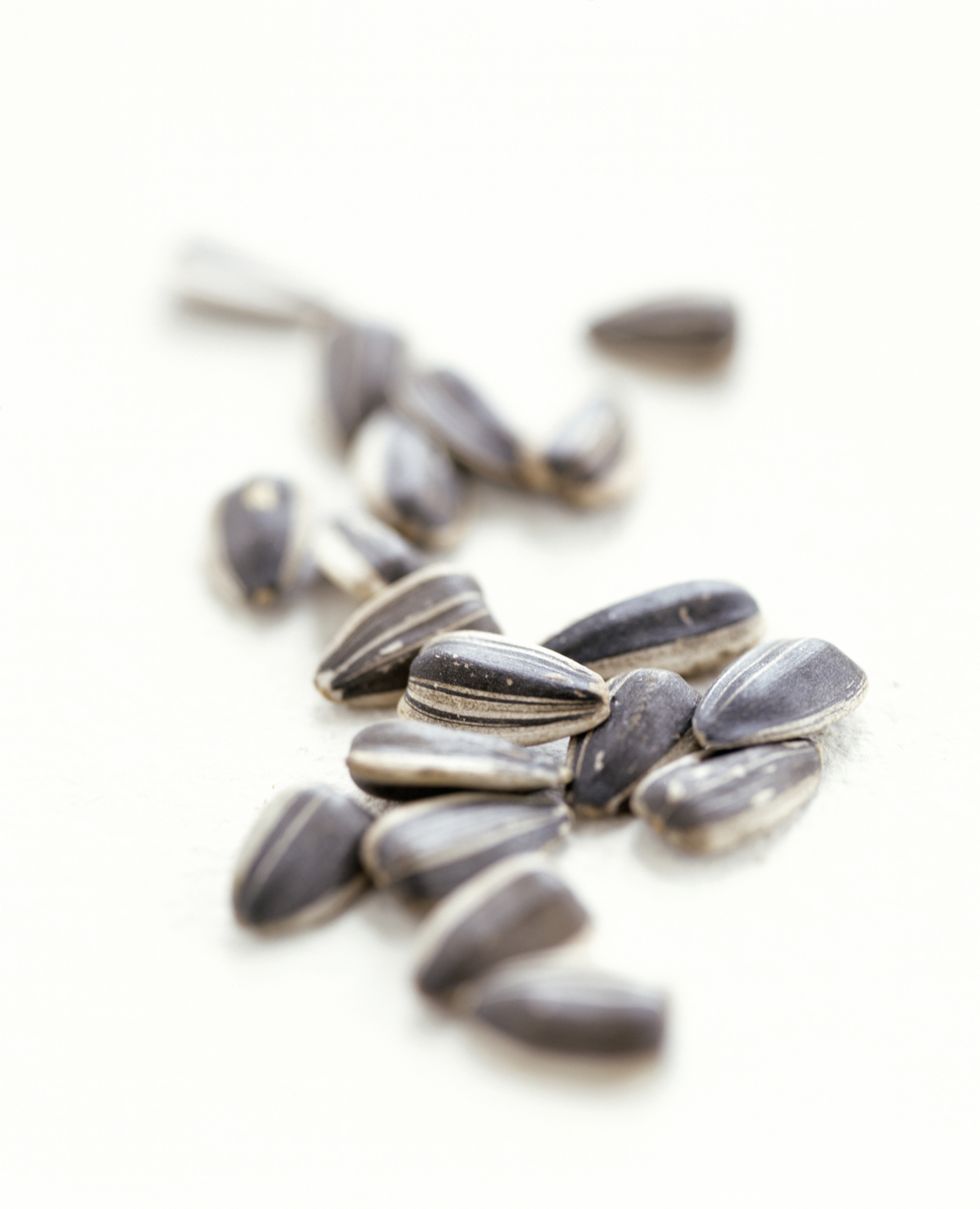 Ingredient, Seed, Produce, Close-up, Sunflower seed, Silver, 
