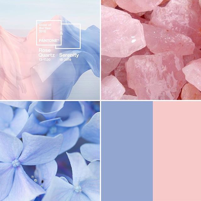 Blue, Colorfulness, Petal, Pink, Electric blue, Peach, Aqua, Chemical compound, Natural material, Cut flowers, 