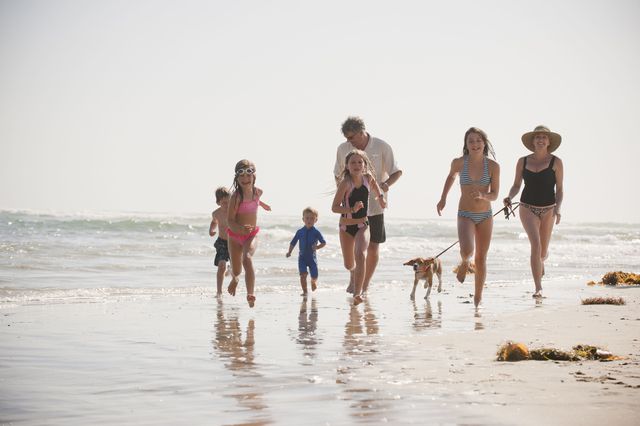 Fun, Human body, People on beach, Mammal, Beach, Summer, Swimwear, Carnivore, Dog, People in nature, 