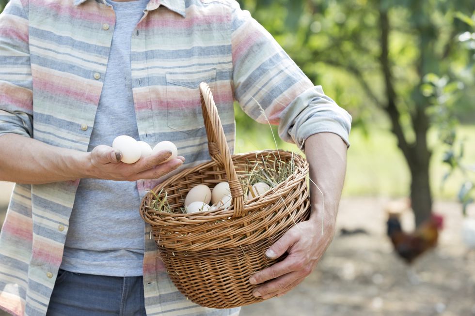 Dress shirt, Basket, Storage basket, People in nature, Wicker, Home accessories, Picnic basket, Button, Straw, Plaid, 