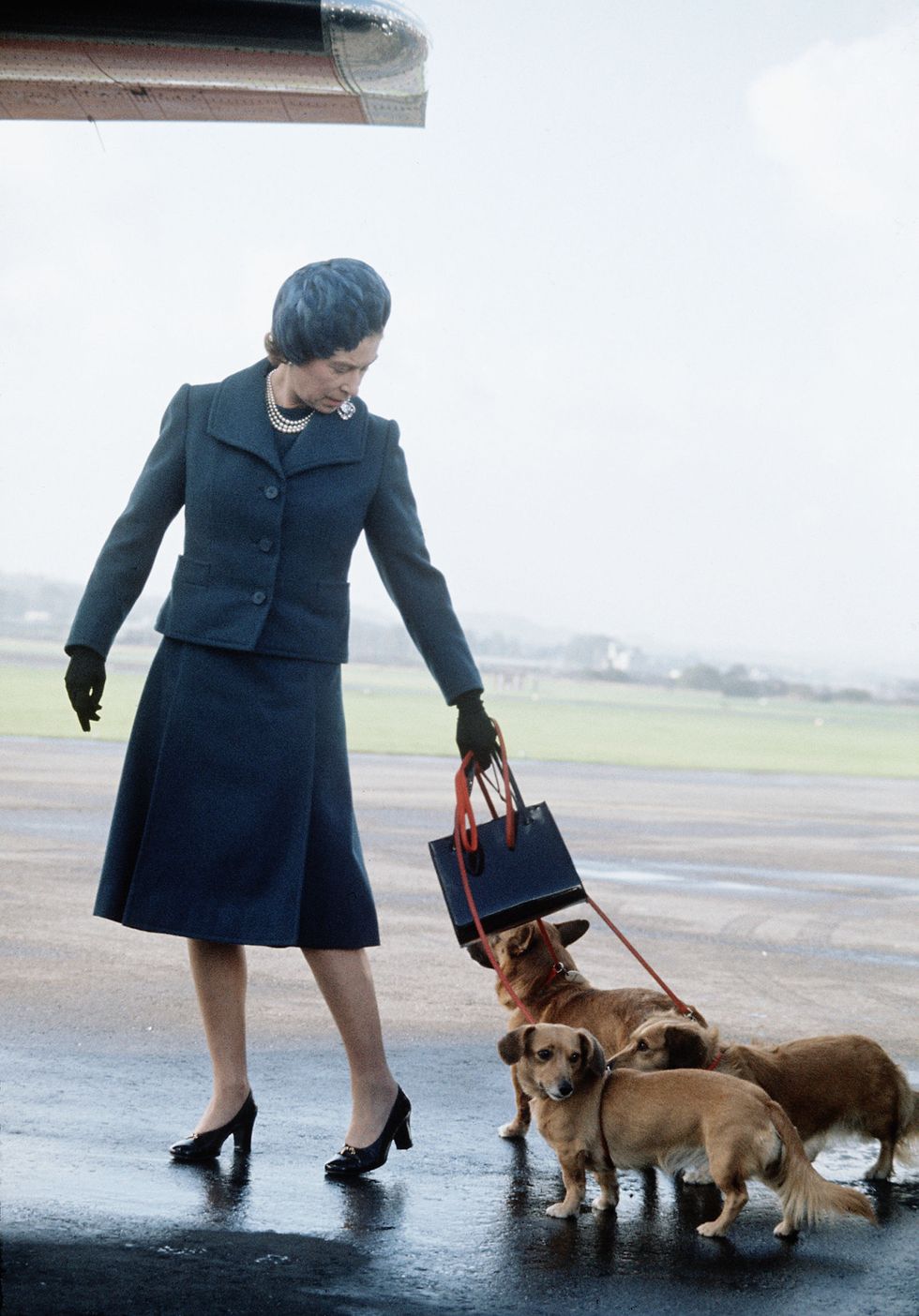 <p>1971年夏天，英國女王與她的柯基愛犬們抵達蘇格蘭度假。</p>
