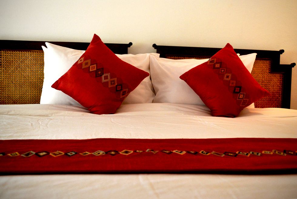 Brown, Textile, Red, Photograph, Pillow, Cushion, Linens, Orange, Carmine, Throw pillow, 