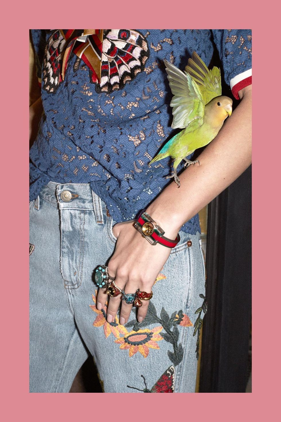 Wrist, Pattern, Pollinator, Fashion accessory, Wing, Fashion, Parrot, Feather, Insect, Denim, 