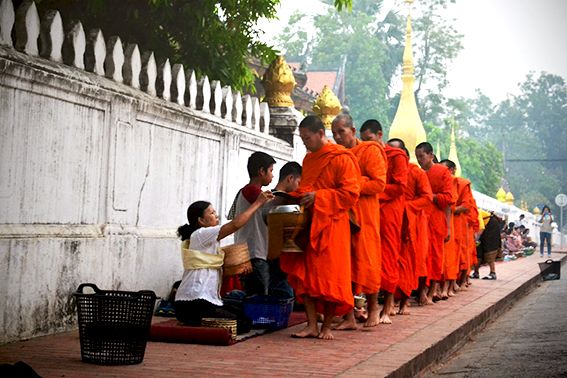 Tree, Monk, Temple, Pilgrimage, Place of worship, Holy places, Ritual, Temple, Tradition, Worship, 