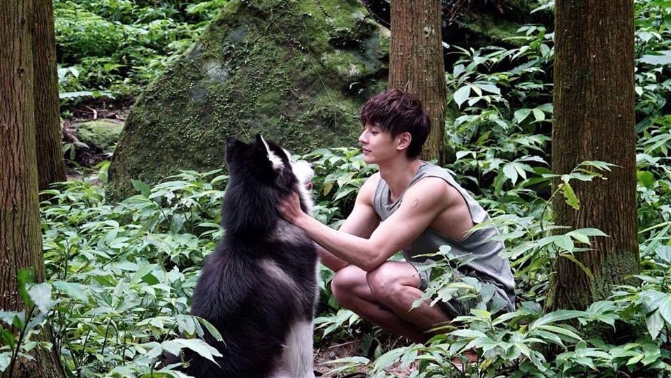 Human, Natural environment, Organism, Forest, Carnivore, Old-growth forest, Dog, Black hair, Jungle, Terrestrial plant, 