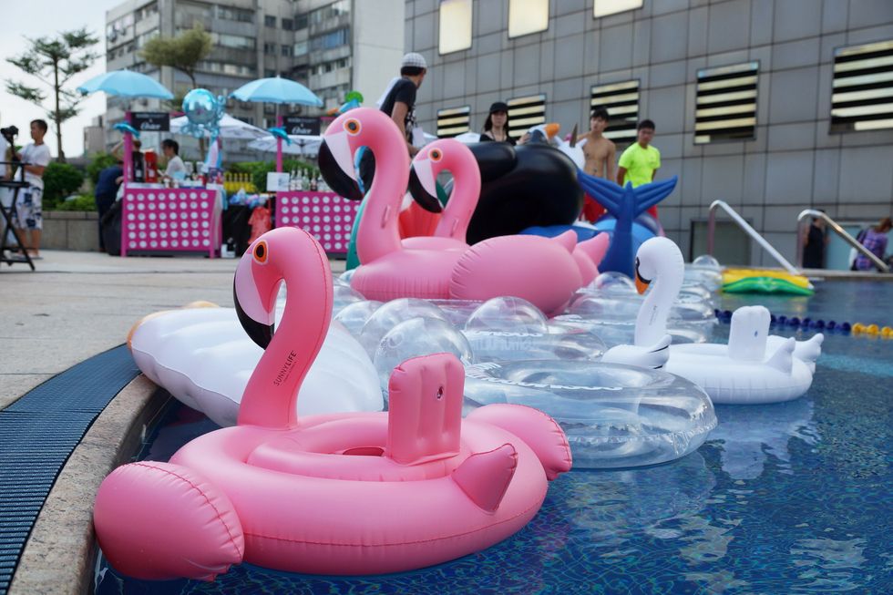 Recreation, Pink, Water bird, Ducks, geese and swans, Waterfowl, Inflatable, Aqua, Swan boat, Holiday, Umbrella, 