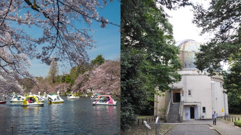 東京近郊一日遊 連日本人都愛去 吉祥寺 三鷹10 個必去的人氣觀光景點 東京近郊一日遊 連日本人都愛去 吉祥寺 三鷹10 個必去的人氣觀光景點