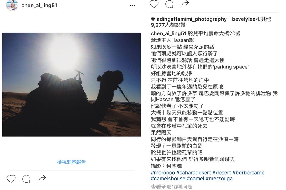 Camel, Text, Photograph, Landscape, Adaptation, Font, Camelid, Screenshot, Working animal, Number, 