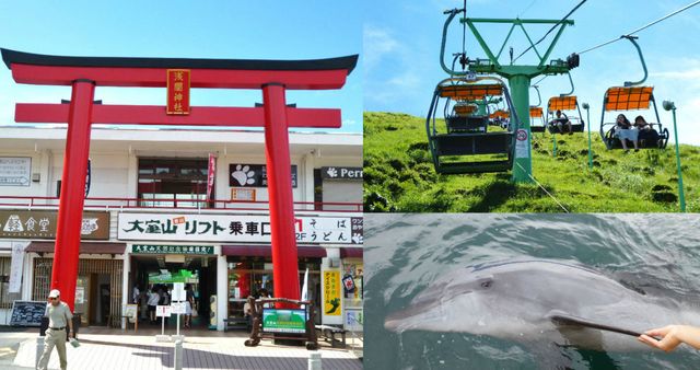 Marine mammal, Common bottlenose dolphin, Bottlenose dolphin, Torii, Travel, Dolphin, Japanese architecture, Chinese architecture, Cetacea, Common dolphins, 