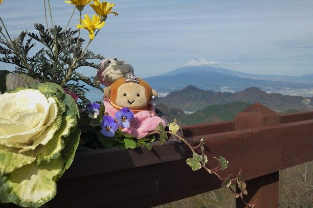Petal, Flower, Toy, Stuffed toy, Mountain range, Teddy bear, Cut flowers, Ridge, Hybrid tea rose, Floristry, 