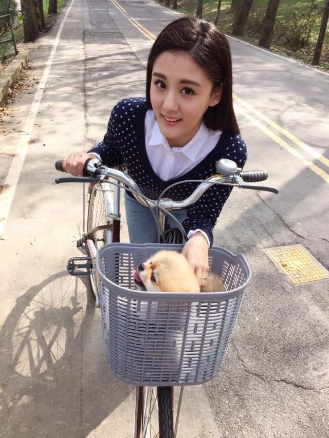 Nose, Bicycle accessory, Bicycle basket, Bicycle, Bicycle wheel rim, Bicycle wheel, Bicycle front and rear rack, Bicycle tire, Carnivore, Snapshot, 