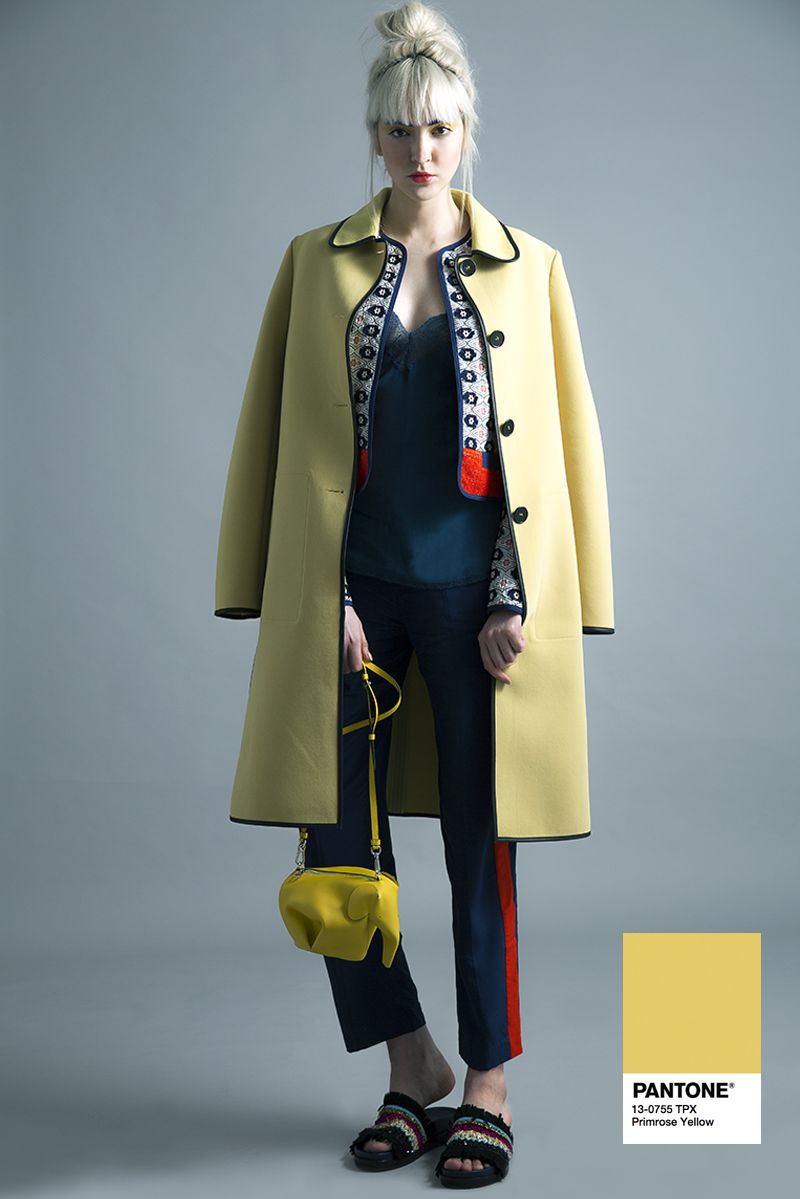 Sleeve, Coat, Collar, Standing, Joint, Outerwear, Style, Blazer, Fashion, Knee, 