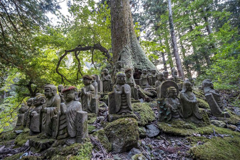 Vegetation, Rock, Sculpture, Woody plant, Forest, Trunk, Stone carving, Old-growth forest, Bedrock, Statue, 