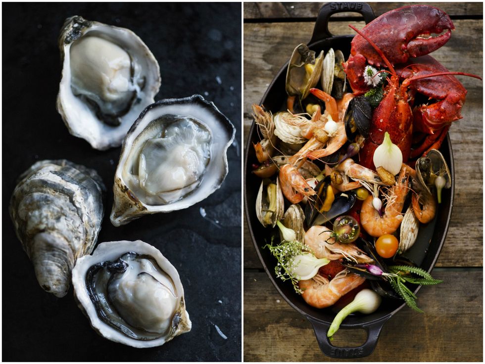 Bivalve, Food, Ingredient, Seafood, Oyster, Shell, Natural material, Shellfish, Molluscs, Recipe, 